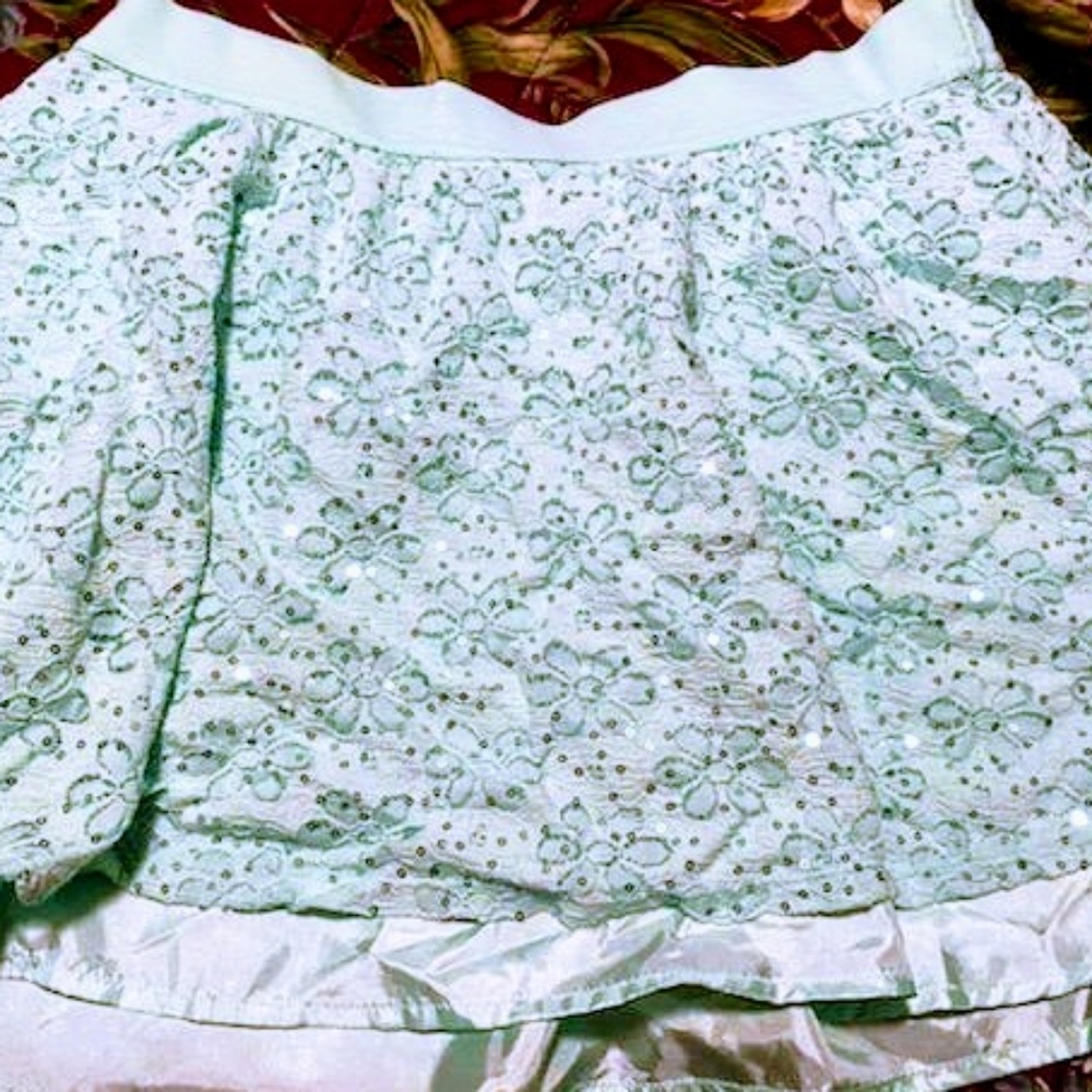Women's, size 18 plus, greenish blue color, skorts